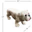 Banc de bouledogue blanc 31 po