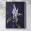 Reproduction encadrée FLORAL Series CCXLII - bois massif-1090638296