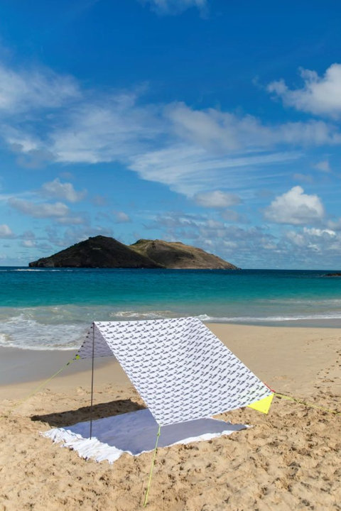 Camping Tents & Shelters