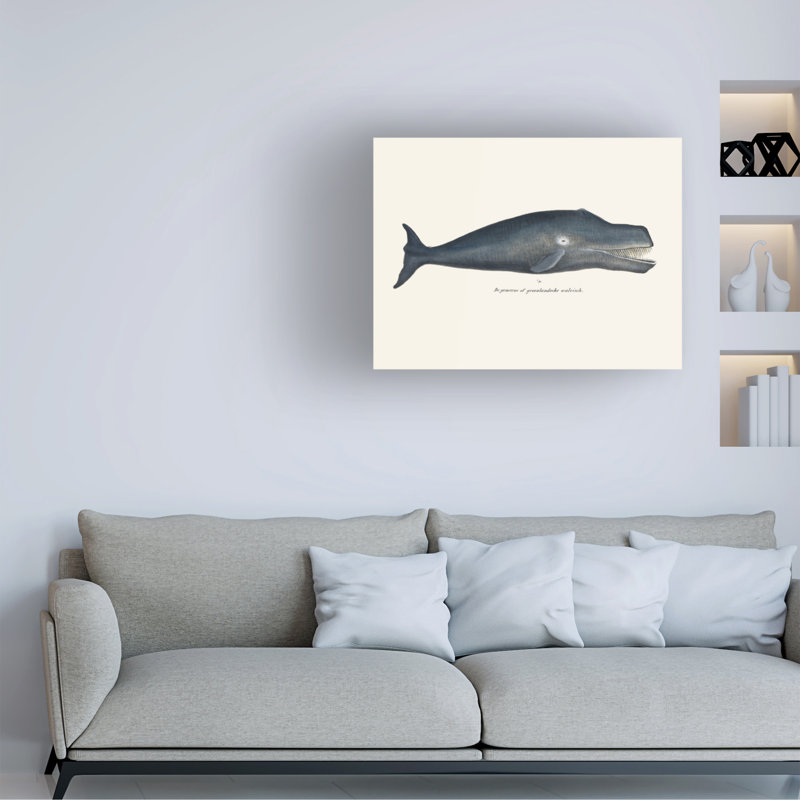 Rouleau bolognique, baleine I, H 14 po x l 19 po