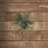 Potted Faux Olive Artificial Flower