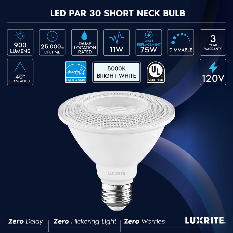 Ampoule DEL à intensité variable PAR30 E26 / moyenne (standard) de 75 watts, 5000