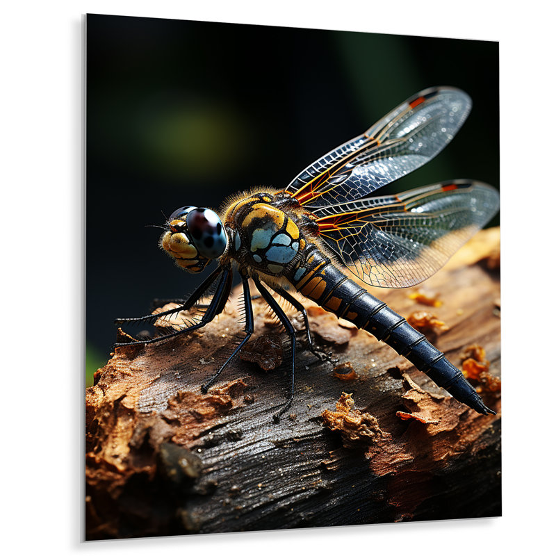Décoration murale brune en libellule vibrante - Animaux libellule en métal, H 20 po x l 12 po x P 1 po