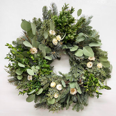 Natural Fresh Evergreens and Dried Flower Holiday Eucalyptus, Boxwood, and White Strawflowers Wreath