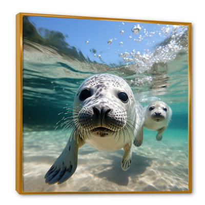 Marine Whispers Sea Lions At Play III - Seal/Sea Lion Wall Art