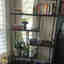 Customer photo 2 of 2