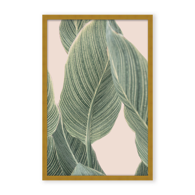 Coastal Retreat Calla Leaf by  - Picture Frame Graphic Art on Paper, Framed Canvas, Brown, 48" H x 32" W x 2.375" D