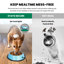 Bol anti-dérapant pour animaux-102621008-102621011