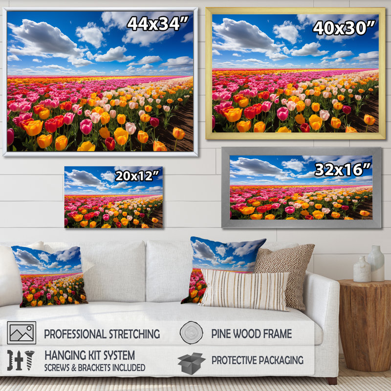 Colourful Tulip Fields I - Tulip Wall Art, White Closed Corner Framed, 12" H x 20" W x 1" D