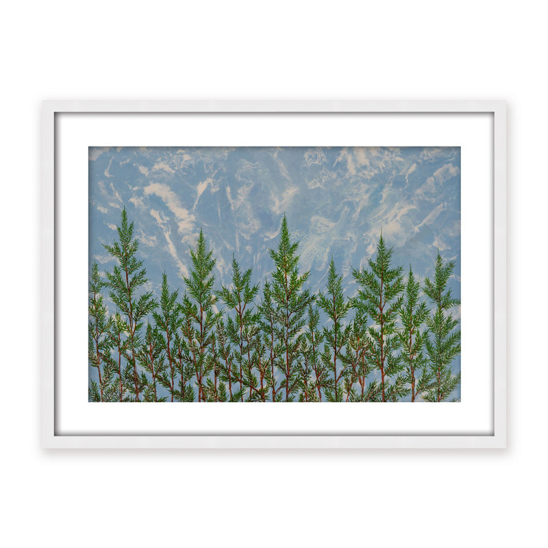 Nature Inspired "Reaching for the Sky" Canvas Wall Art By , 30" H x 40" W, Framed Matted Print, Gold