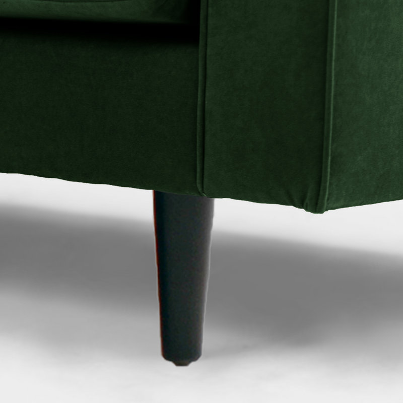 Boubacar 2 Seater Velvet Loveseat, Dark Green, Black