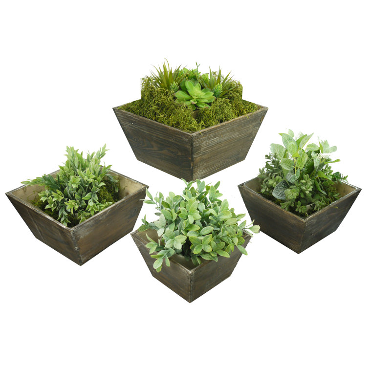 Kaius Handmade Wood Pot Planter, Beige