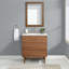 Dondi 30'' Single Bathroom Vanity