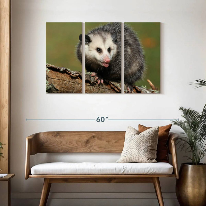 Brampt Angry Opossum, 28" H x 45" W
