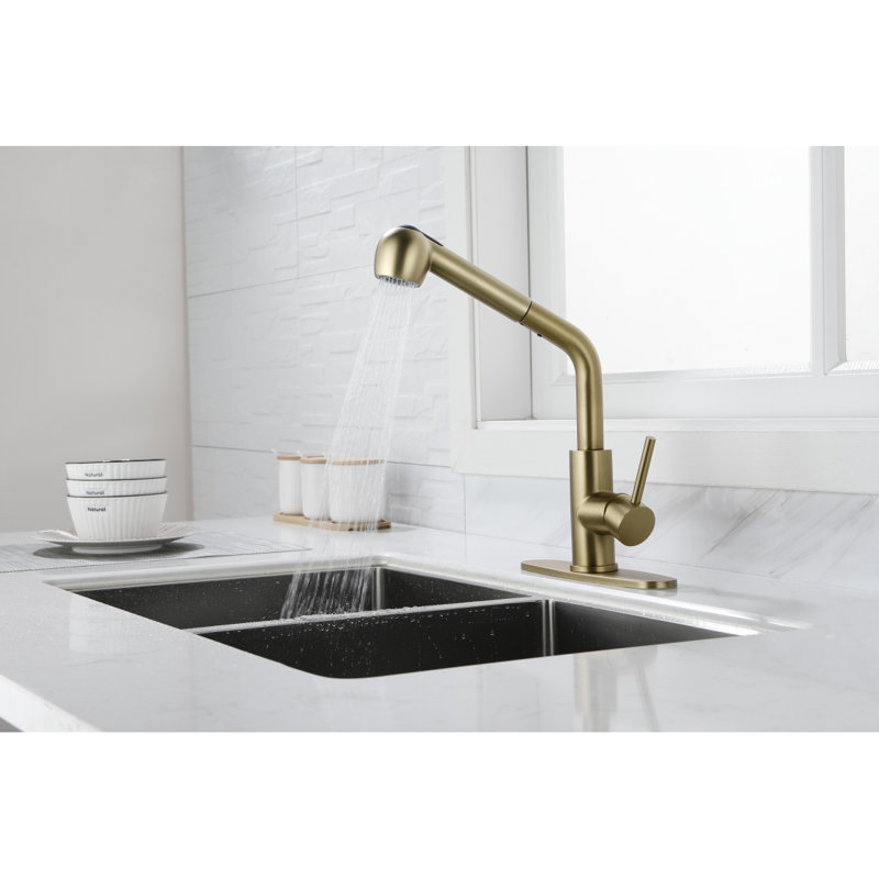 Utility Sink Faucets Single-Handle Pull-Out Laundry Faucet With Dual Spray Funcss Spot Resistant  Gold, Gold