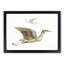 Crane & Bittern by Johan Teyler - Picture Frame Painting Print-55510592-55510591