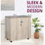 Ekaterini 2 -Door 1 -Shelf Storage Cabinet