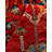 One-of-a-Kind 2' 0" X 6' 1" New Age Runner Wool Area Rug in