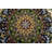 Performance Wool Floral Indoor Rug