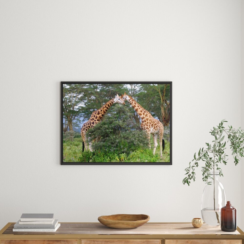 Gerahmtes Wandbild Giraffenpaar in der Savanne