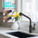 MODLAND Pull Out Kitchen Faucet