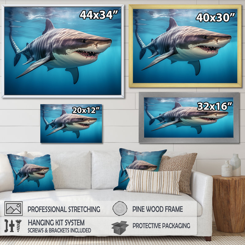 Tiger Shark Territory III - Shark Framed Wall Art, 34" H x 44" W x 1.5" D, White Single Picture Framed