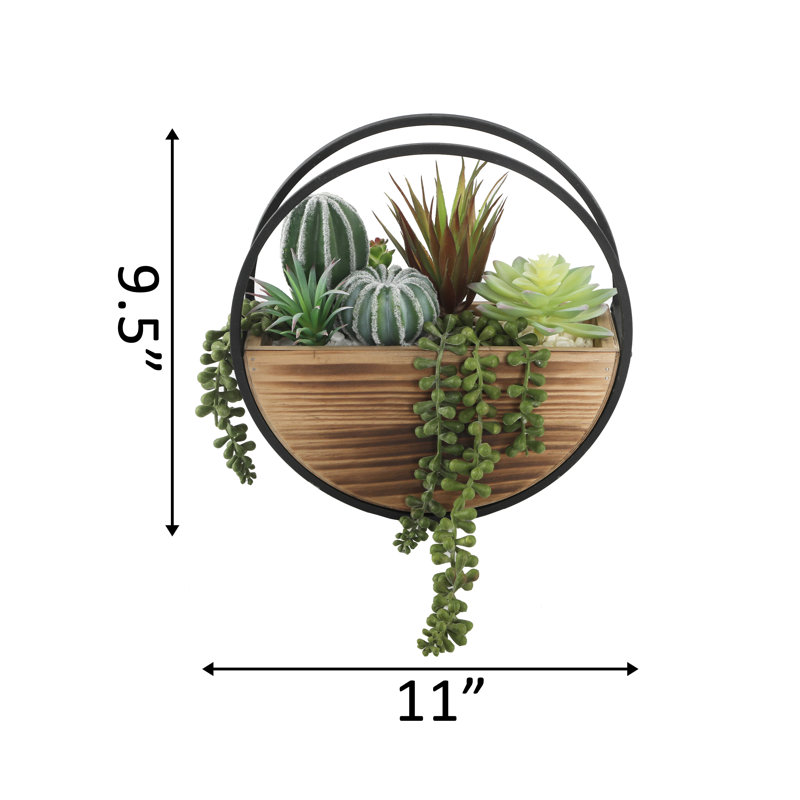 Ensemble de 5 plantes succulent artificielles dans un panier
