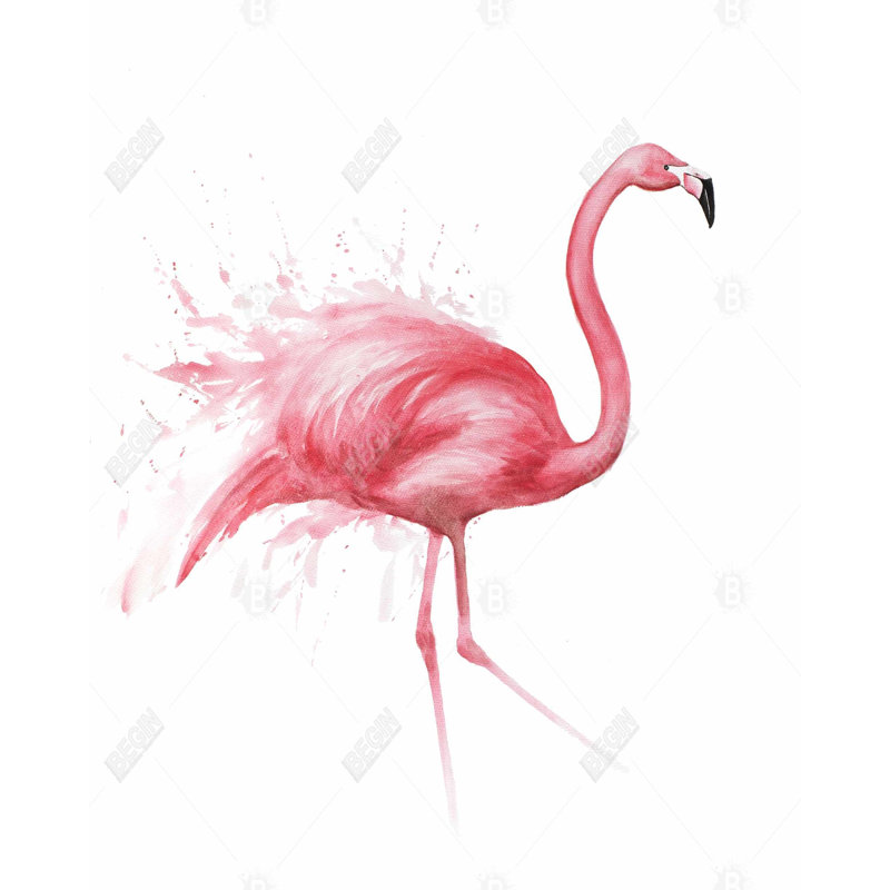 «Pink Flamingo Watercolor» sur