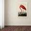 «American Flamingo», reproduction d'art sur toile-31355403