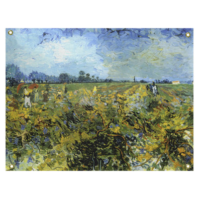 Vineyard avec tapisserie sky Browerville