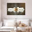 Couple de canards blancs Crowle-111839837
