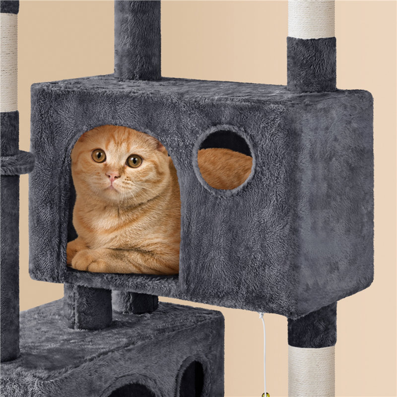 Arbre à chat à plusieurs niveaux Daughtry, Gris foncé