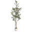 Pot à fleurs Eudora Eucalyptus avec Jibbs-950024863-959286239