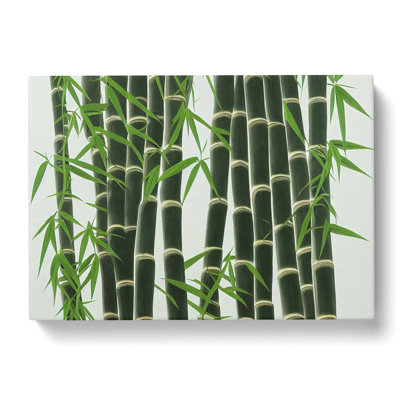 Interesting Bamboo Forest - Wrapped Canvas