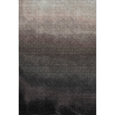 Premium Machine Washable Ariel Ombre Rug