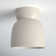 Logan Single Light Ceramic 8'' H X 7.5'' W  Flush Mount