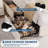 Twin Velvet Bed Frame with LED Headboard & 2 Drawers, Beige-544177415-544177417
