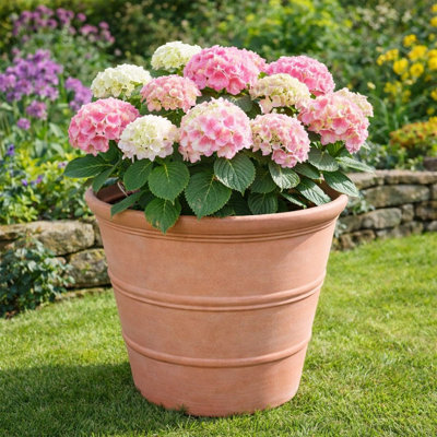 Handmade Pot Planter