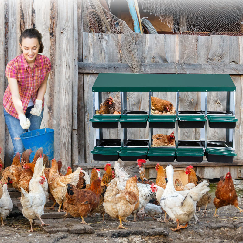 Fynlay Nesting Boxes