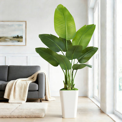 5FT Artificial Bird of Paradise Plant in White Planter - Complete Tropical Statement Piece