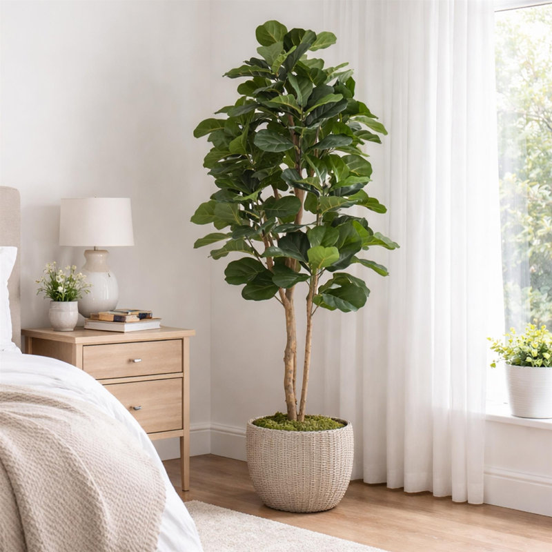 180cm Faux Fig Tree in Pot Liner