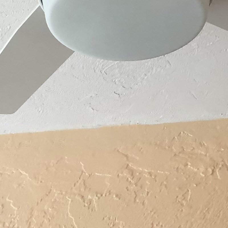 Customer review by Reed