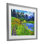 «Hidden Lake Scenery», reproduction d'art sous verre encadrée par Lee Ann Zirbes