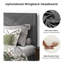 Structure de lit pour grand lit Tempting avec tête de lit en lin et construction silencieuse, sous le rangement, sans sommier, 485 lb, structure robuste et robuste de la tête de lit gris anthracite, Emphasis-1869805008