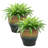 Ailynn Round Imperial Ceramic Outdoor Planter-1857609949-1857609946