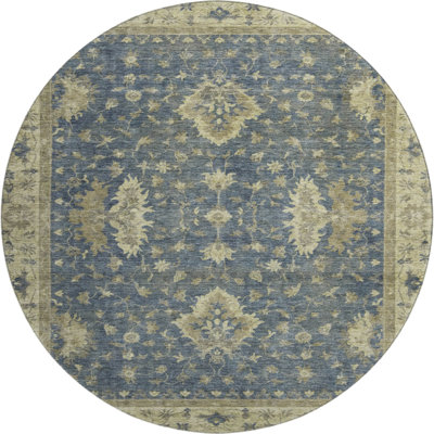 Premium Machine Washable Bucz AMF1739 Border Rug