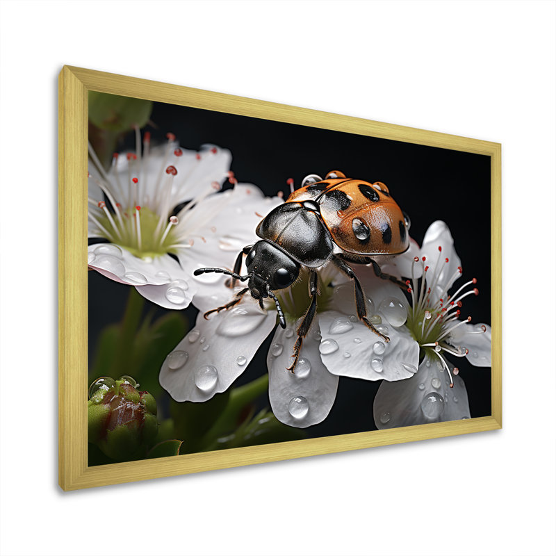 Nature c - Mystérieuse coccinelle en fleurs - imprimé, Cadre doré simple, H 16 po x l 32 po x P 1 po