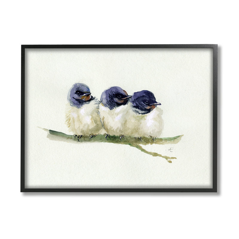 Trio of Baby Swallows on Branch Canvas Print
