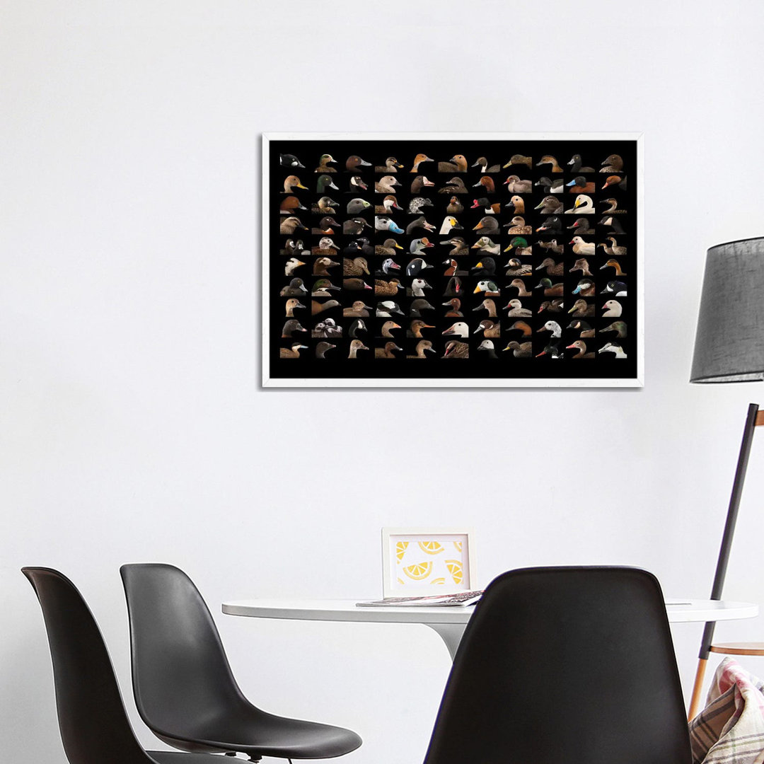 A Composite Of 110 Species Of Ducks And Geese von Joel Sartore - Gallery-Wrapped Canvas Giclée