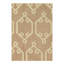 Moroccan Area Rug in Brown